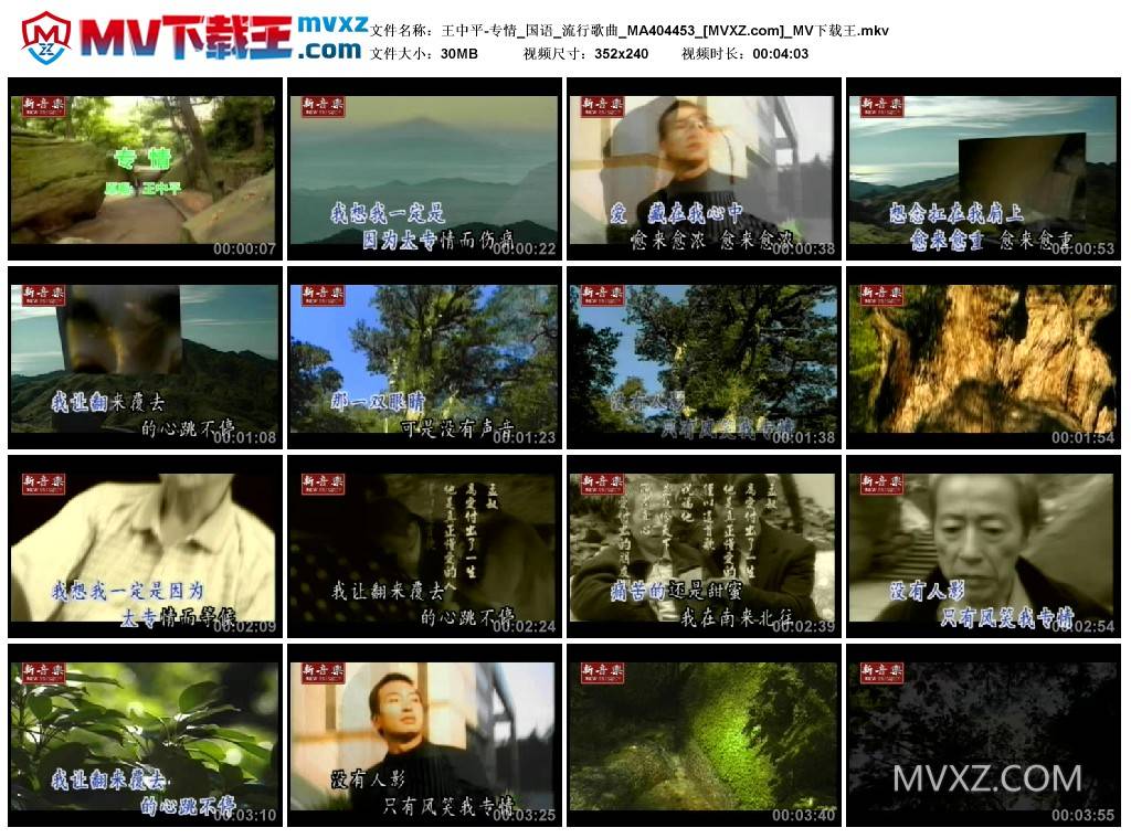 王中平-专情_国语_流行歌曲_MA404453